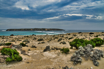 Fototapeta na wymiar The desolate coast, with sparse vegetation, of Avoid Bay, with a view of Avoid Bay Island, Coffin Bay National Park, Eyre Peninsula, South Australia 