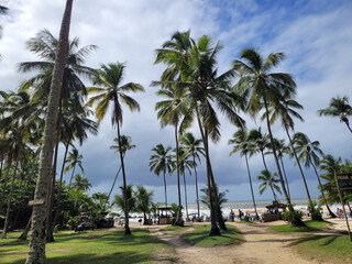 Plakat Beautiful paradisiacal and deserted beach with coconut trees at the entrance