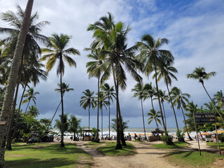 Plakat Beautiful paradisiacal and deserted beach with coconut trees at the entrance