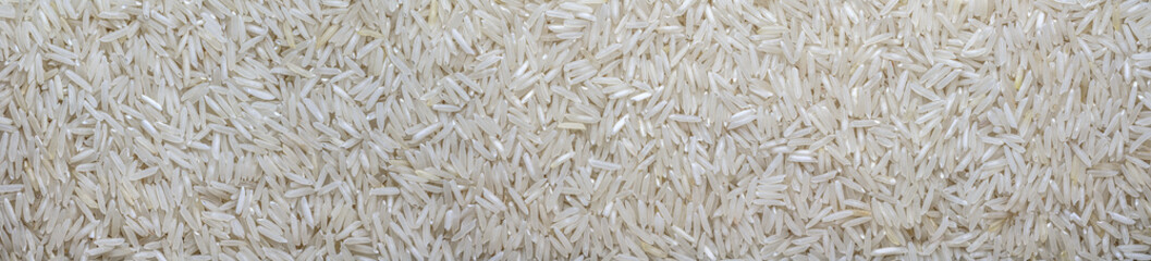 panoramic white long rice background texture. rice grains close-up.