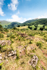 Fototapeta na wymiar Green slopes of the French Pyrenees.