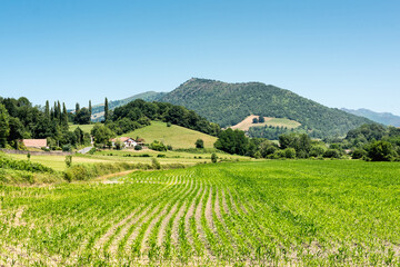 Farm and farmland on a foothill in the French Pyrenees.