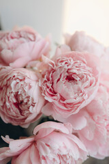 bouquet of pink peonies on a white background close-up. gently pink flower petals.