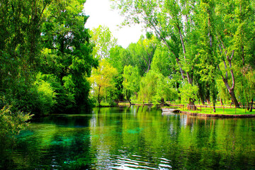 Romantic scene in Le Fonti del Clitunno with massive green trees overhanging a calm pond full of...