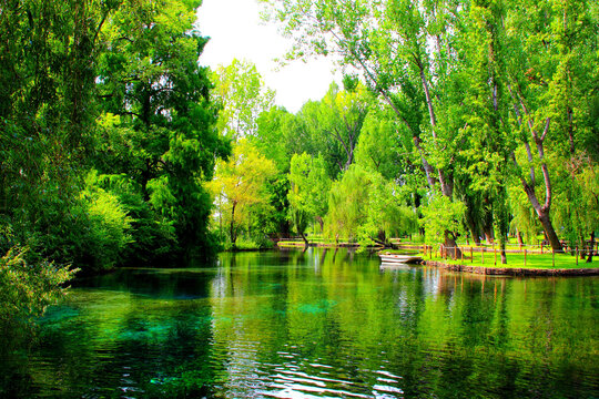 Romantic scene in Le Fonti del Clitunno with massive green trees overhanging a calm pond full of water plants with a small boat moored to the shore on a fine summer day
