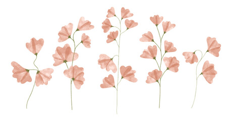Variety of watercolor trendy flowers. Vector illustration for web, app and print. Elegant feminine shapes floristic isolated sweet peas  flowers. Garden, botanical, minimalistic floral set.