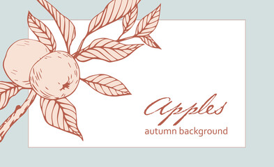 Autumn botanical template with branch apples . Hand drawn illustration. Background  for design