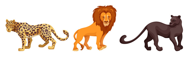 African savannah animals set. Carnivorous mammals, cat families. Cartoon vector graphics.