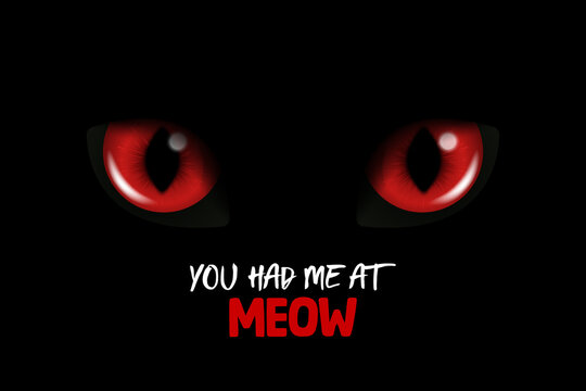 You Had Me At Meow. Vector 3d Realistic Red Cats Eye of a Black Cat. Cat Look in the Dark Black Background Closeup. Glowing Cat Eyes