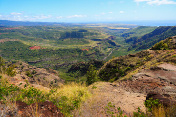 Fototapeta premium Waimea Canyon 