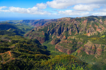 Aerial view of Waimea Canyon 