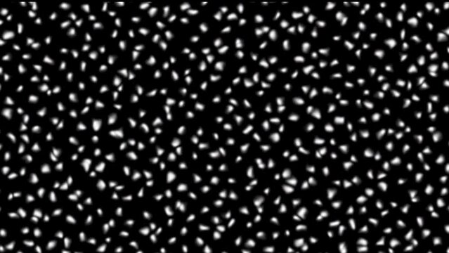 Animated white spots on a black background. Seamless Loop