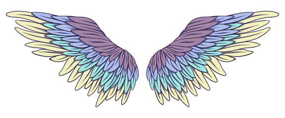 Beautiful purple green yellow wings, vector illustration
