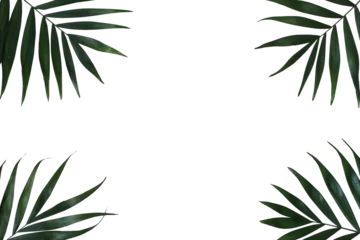 Fotobehang Tropisch Tropical Palms Leaves Frame  © tabitazn