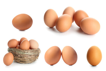 Set of raw chicken eggs on white background