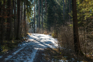 Winter schnee wald weg