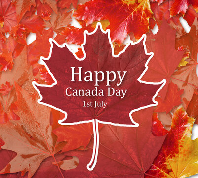 Greeting card with maple leaves for Canada Day