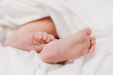 The legs of a newborn baby are wrapped in soft white blanket. Selective soft focus, close-up