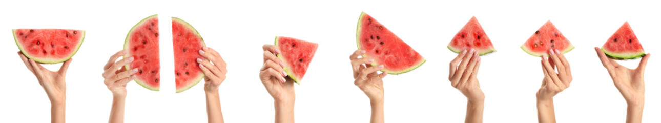 Many hands with pieces of juicy watermelon isolated on white