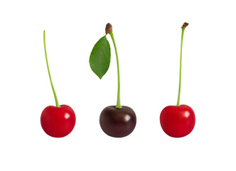 Red and purple cherries isolated on a white background. Cherry set. Fresh juicy berries.