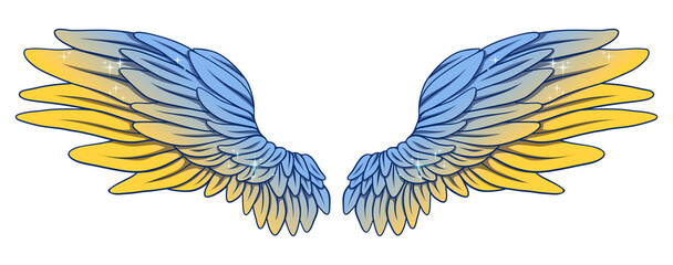 Beautiful yellow blue vector wings
