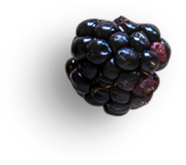 Blackberry