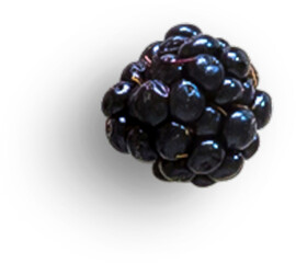 Blackberry