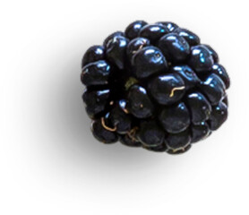 Blackberry