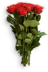 Bunch Roses Lay Flat Red