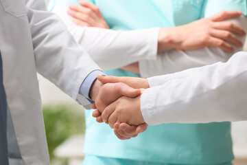 Obraz na płótnie Canvas Doctors shaking hands in clinic
