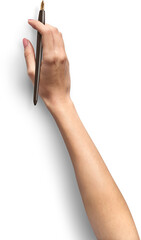 Woman Hand White Skin with Calligraphic Pen