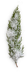 Fir Branch with Snow © Custom Scene
