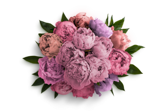 Peonies Floral Frame