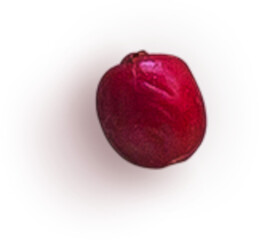 Hawthorn Berry