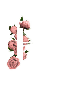 Peonies Floral Frame