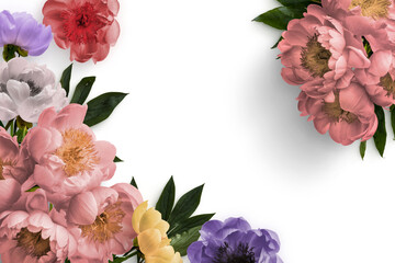 Peonies Floral Frame