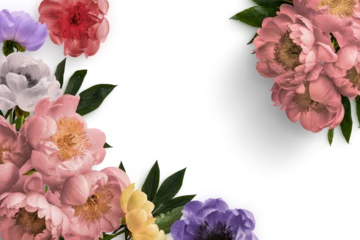 Fotobehang Bloemen Peonies Floral Frame  © Custom Scene