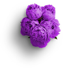 Bouquet of Purple Peonies © Custom Scene