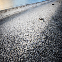 morning light on the fine grains of sand with water on nsw central coast