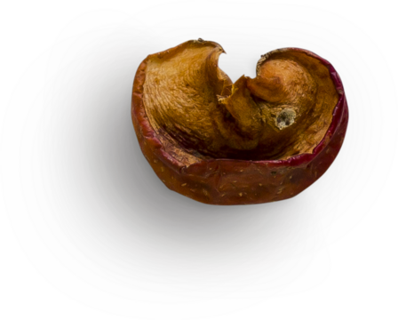 Red Apple Rotten Slice