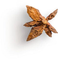 Fototapeta premium Star Anise