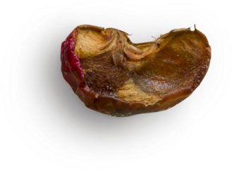 Red Apple Rotten Slice