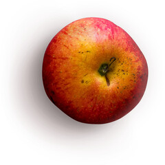 Red Apple Back