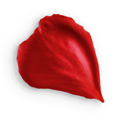Rose Petal Red