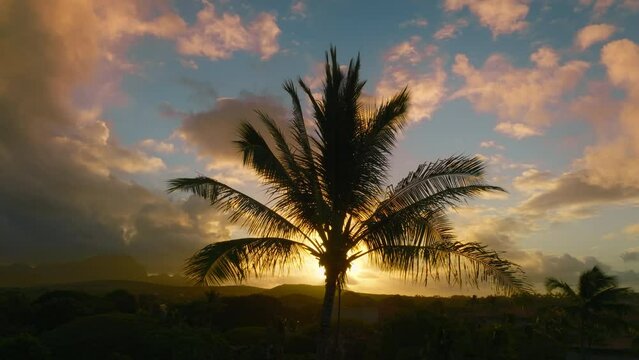 Cinematic sunset on Hawaii beach under palm trees 4K. Silhouette of scenic palm tree top canopy swaying on wind on beautiful morning sky with sunrise clouds. Romantic sunset background with copy space