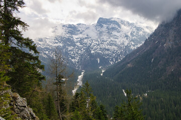 Fototapeta premium Schnee auf den Bergen mit Nebel Wolken 
