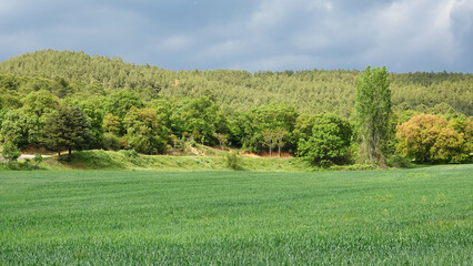 a springtime panorama with meadow, hills and trees
