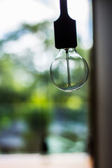 light bulb in the glass