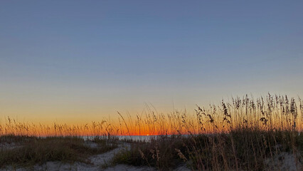 beach sunrise through dunes