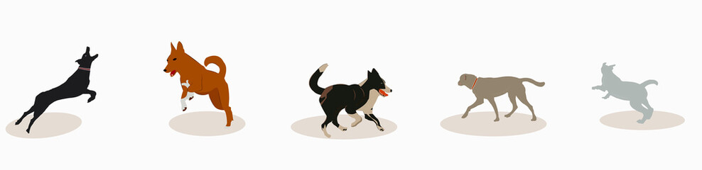 different breeds of large dogs in motion